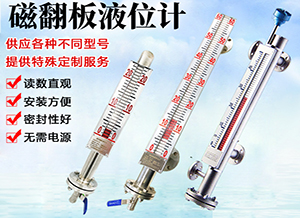 四氟防腐液位计