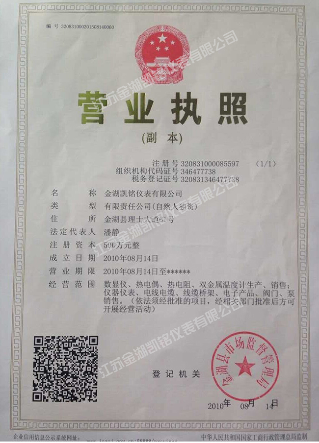 金湖凯铭仪表有限公司营业执照